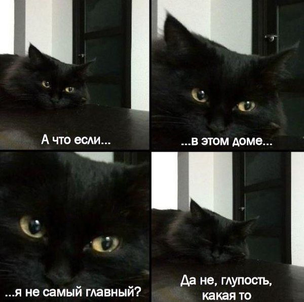 Порция картинок