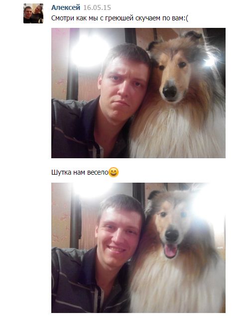 Порция картинок