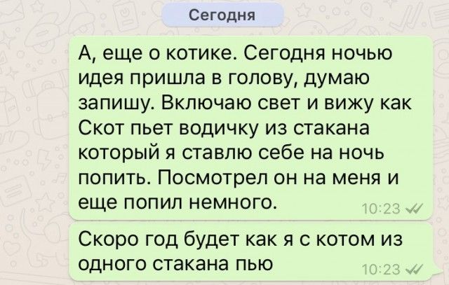 Юмор из соцсетей