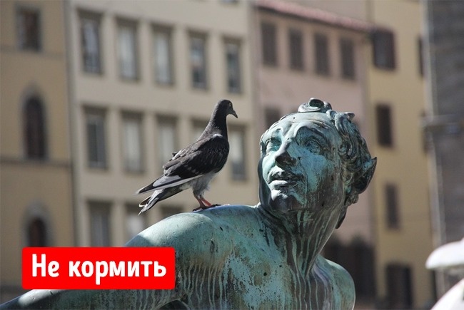 10 странных вещей, которые запрещены в разных уголках мира 10 странных вещей, которые запрещены в разных уголках мира