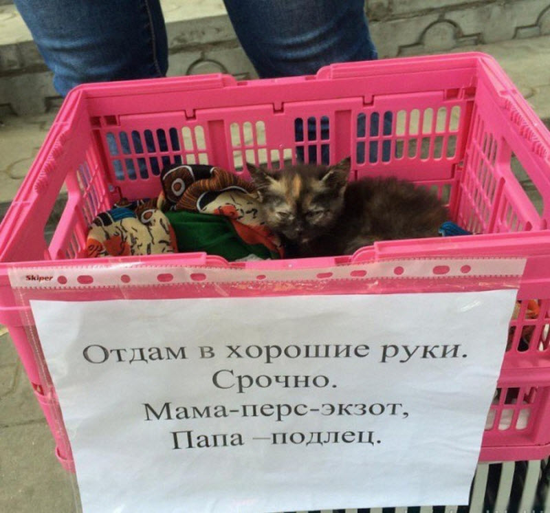 Удивительные снимки с российских просторов