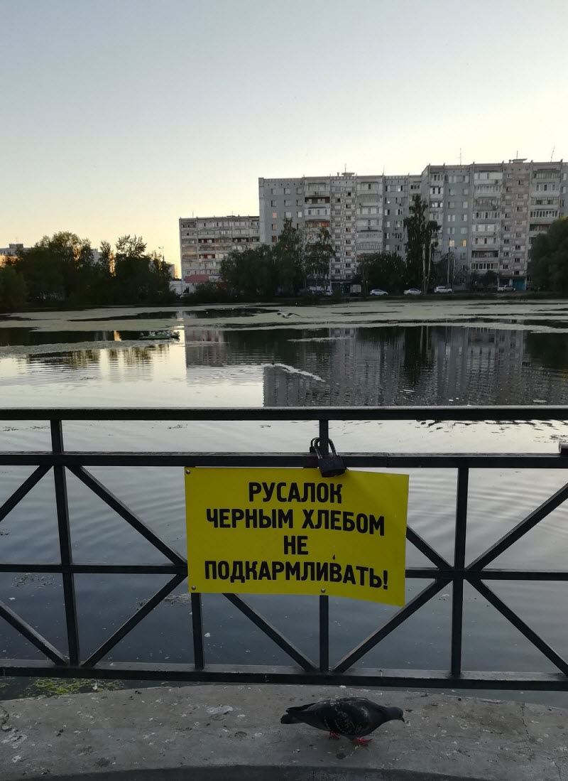 Удивительные снимки с российских просторов