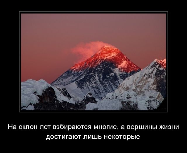 Демотиваторы