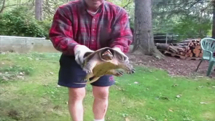 Фейлы и неудачи