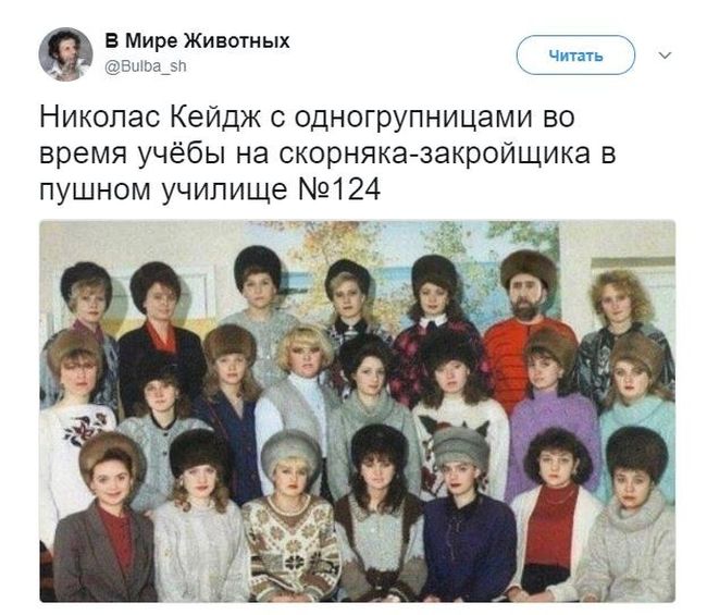 Прикольные картинки