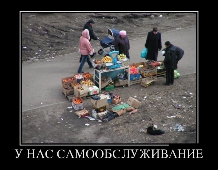 Демотиваторы