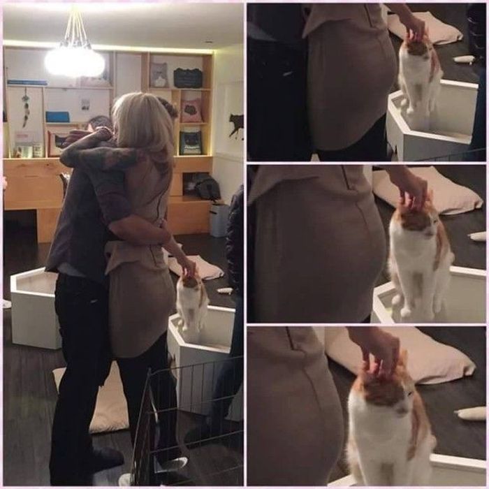 То, что поймут только мужчины То, что поймут только мужчины