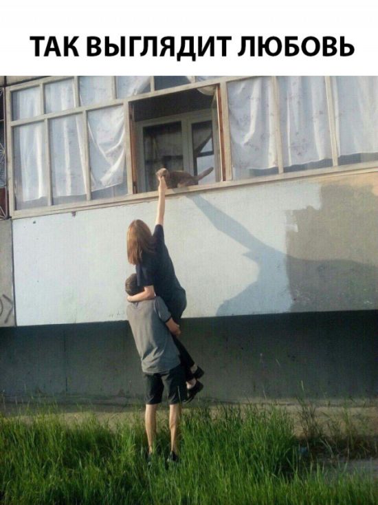 Прикольные картинки