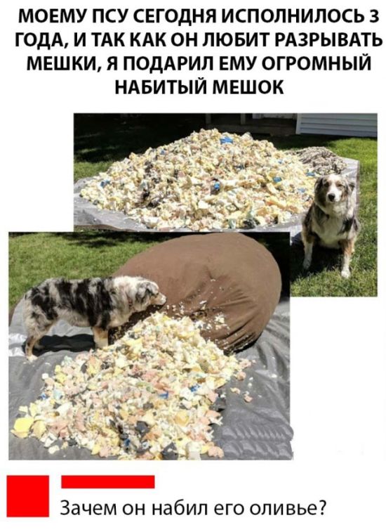 Прикольные картинки