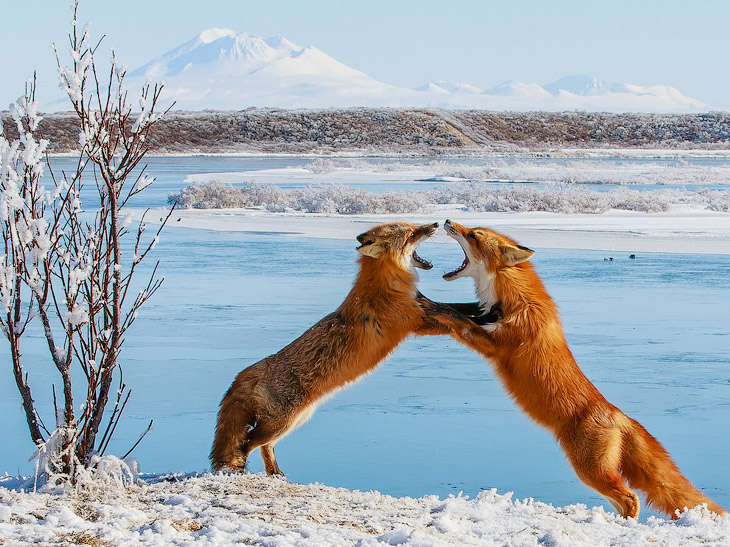 National Geographic: лучшие фотографии августа National Geographic: лучшие фотографии августа