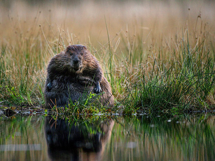 National Geographic: лучшие фотографии августа National Geographic: лучшие фотографии августа