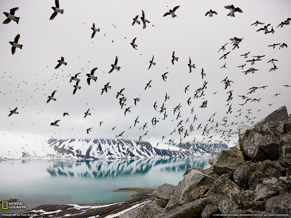 National Geographic: лучшие фотографии августа National Geographic: лучшие фотографии августа