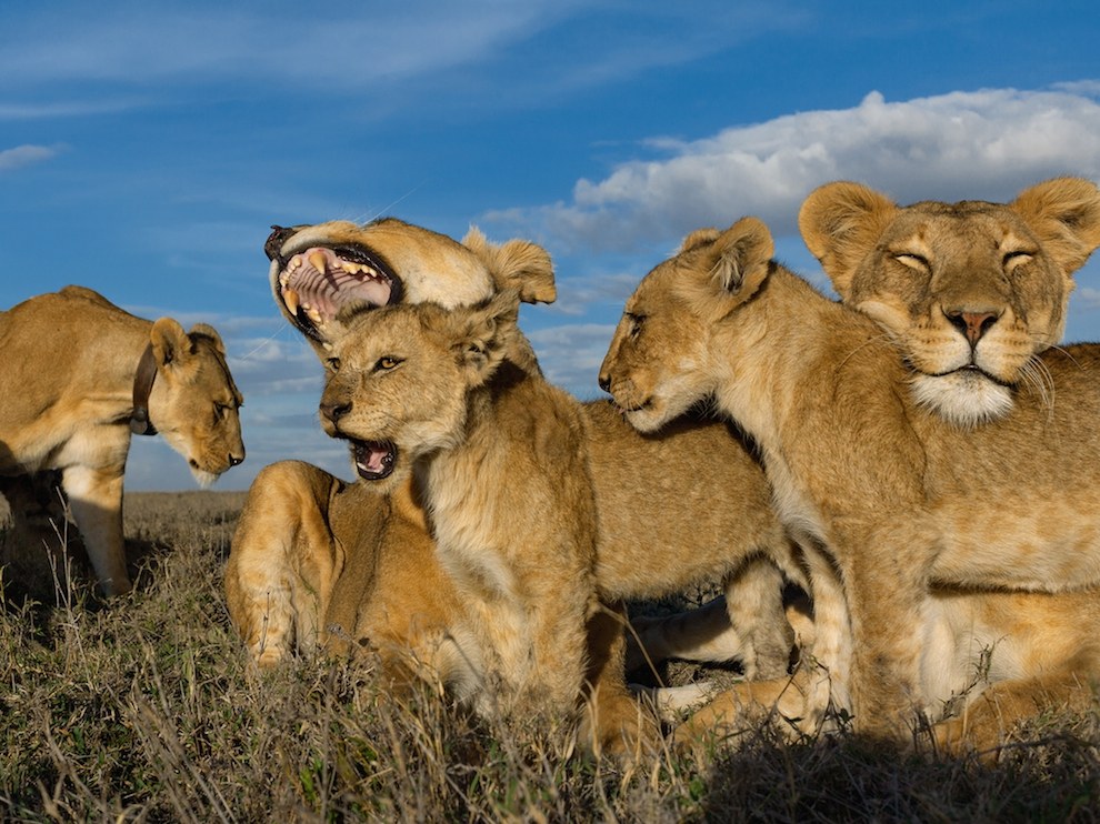 National Geographic: лучшие фотографии августа National Geographic: лучшие фотографии августа