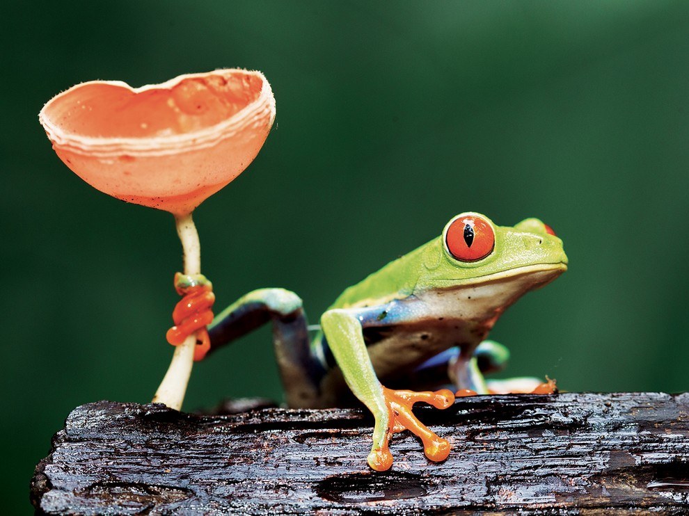 National Geographic: лучшие фотографии августа National Geographic: лучшие фотографии августа