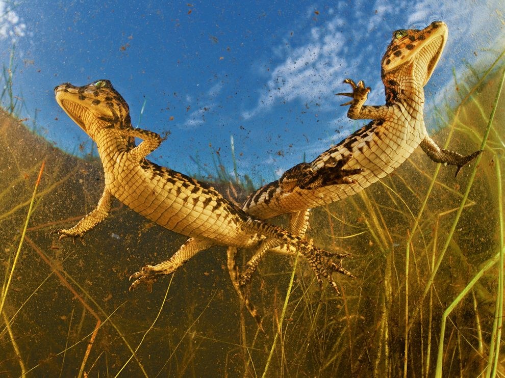 National Geographic: лучшие фотографии августа National Geographic: лучшие фотографии августа