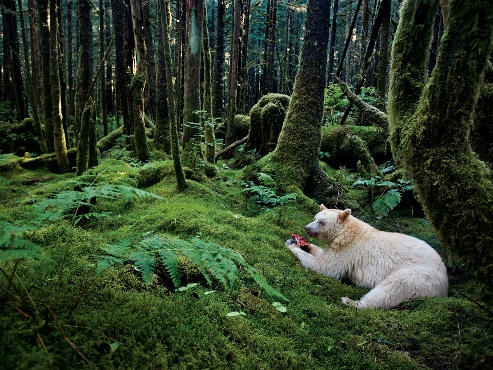 National Geographic: лучшие фотографии августа National Geographic: лучшие фотографии августа