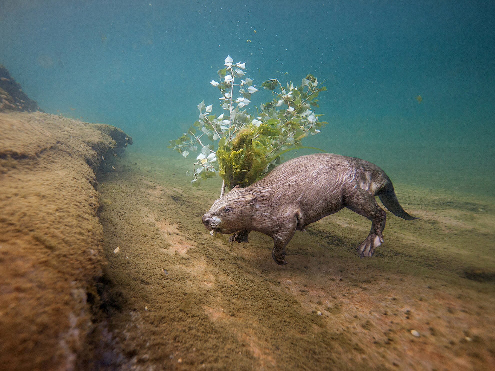 National Geographic: лучшие фотографии августа National Geographic: лучшие фотографии августа