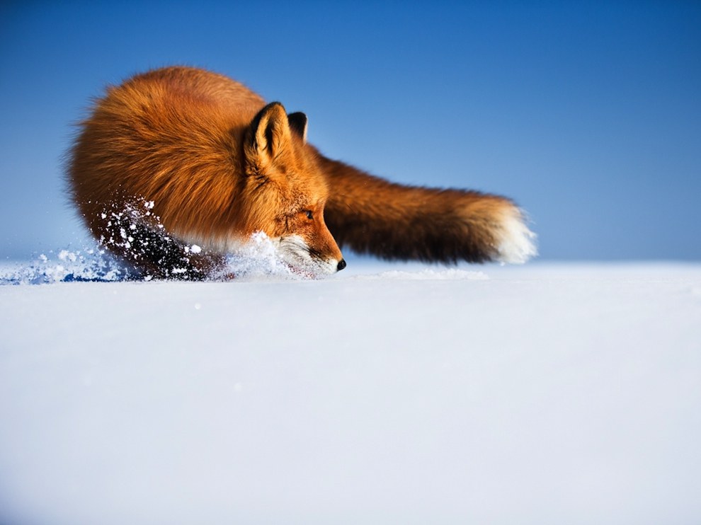 National Geographic: лучшие фотографии августа National Geographic: лучшие фотографии августа