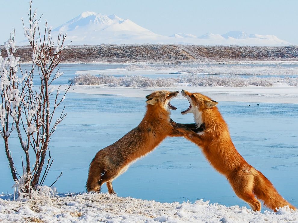 National Geographic: лучшие фотографии августа National Geographic: лучшие фотографии августа