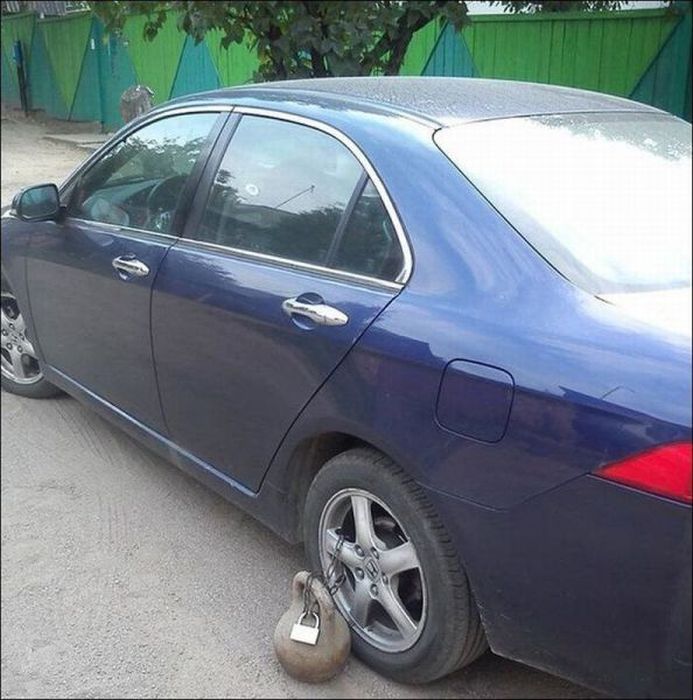 Прикольные картинки