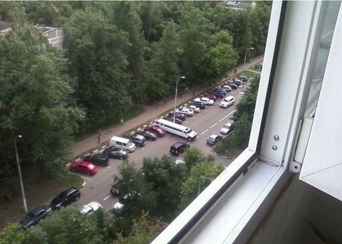 Прикольные картинки