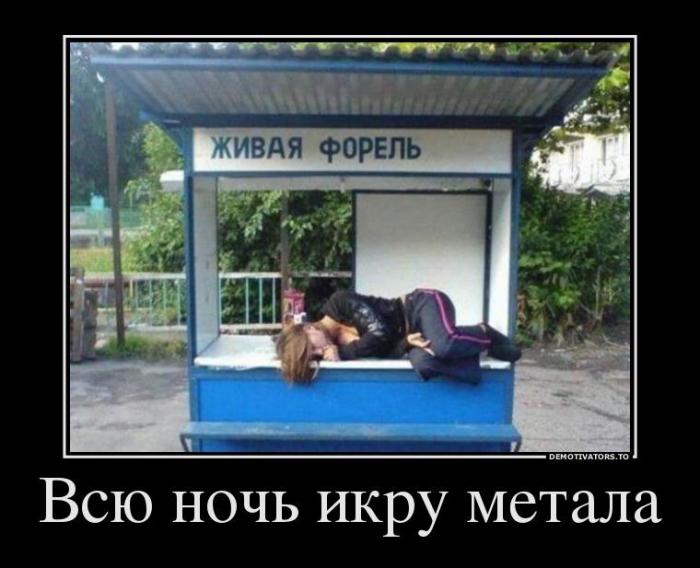 Демотиваторы (45 фото)
