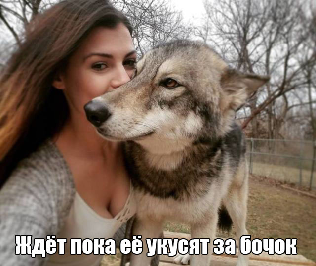 Прикольные картинки