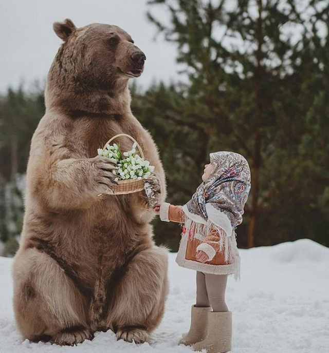 Медведь Степан - звезда кинематографа и фотосессий