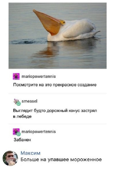 Юмор и забавные высказывания пользователей сети