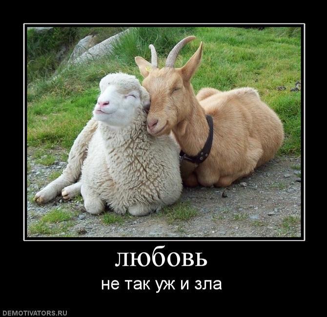 Демотиваторы (75 фото)