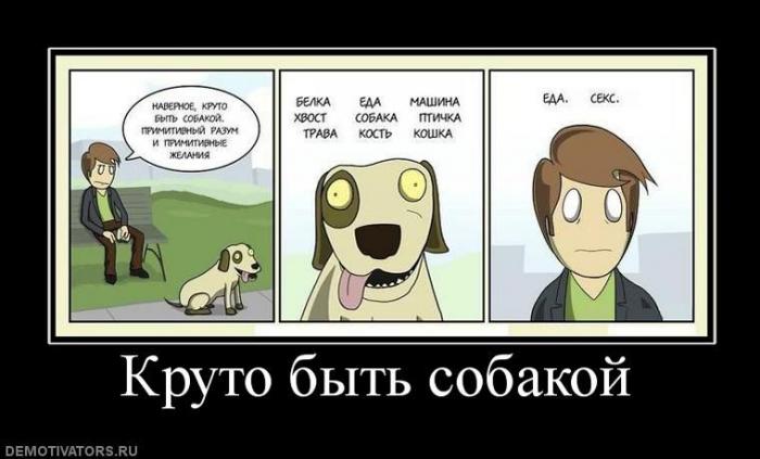 Демотиваторы (75 фото)