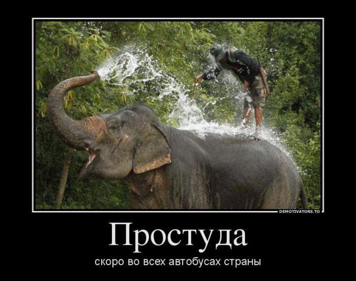 Демотиваторы (75 фото)