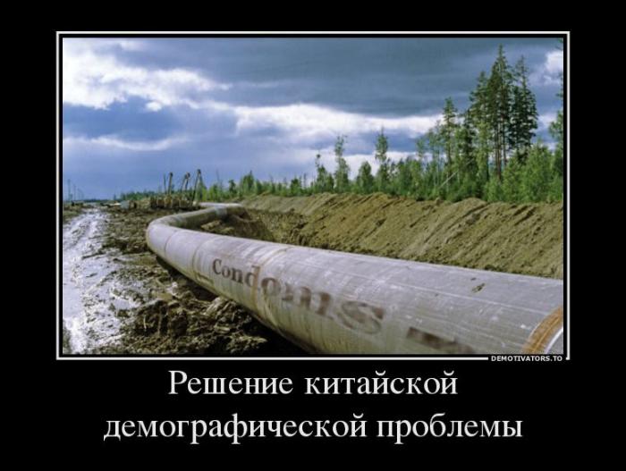 Демотиваторы (75 фото)