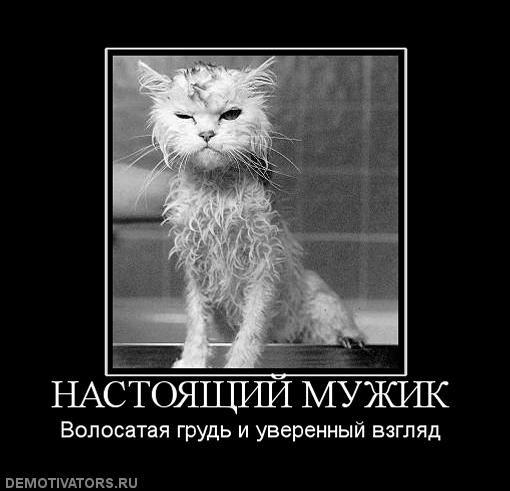 Демотиваторы (75 фото)