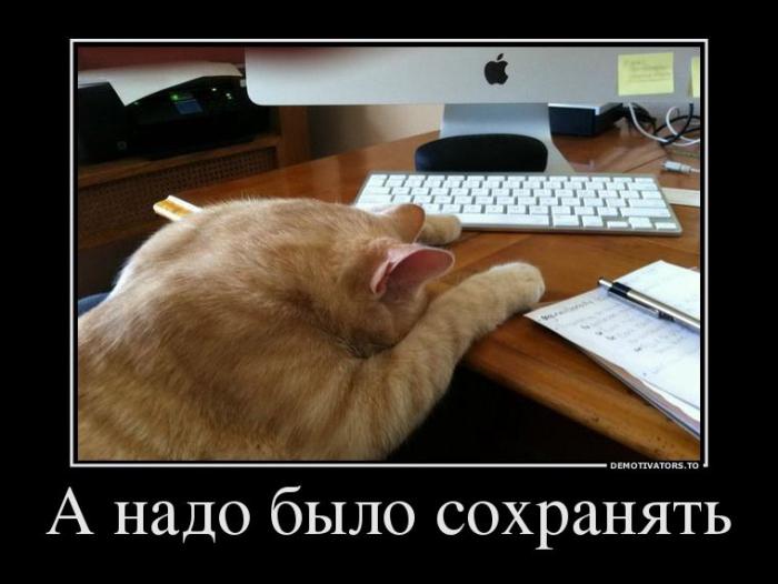Демотиваторы (75 фото)