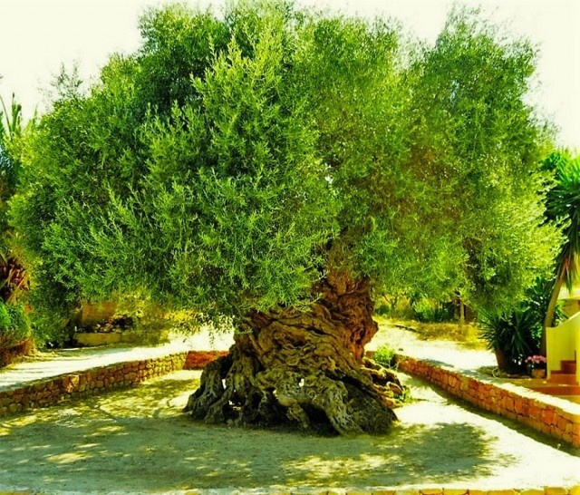 Интересные фото обо всём на свете Интересные фото обо всём на свете