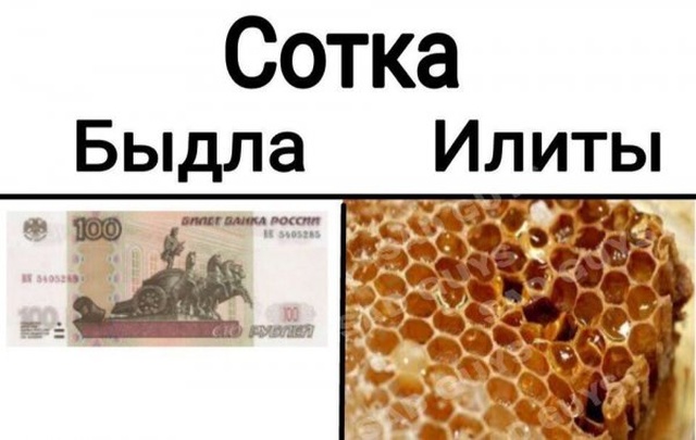 Юмор и шутки из социальных сетей