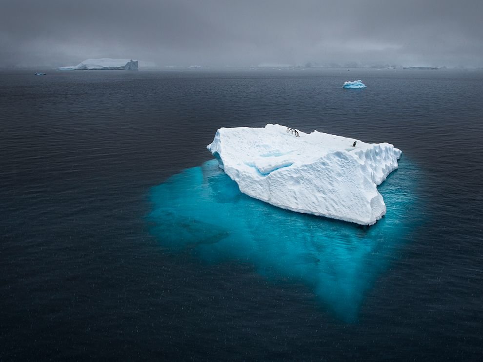 National Geographic: лучшие фотографии ноября National Geographic: лучшие фотографии ноября