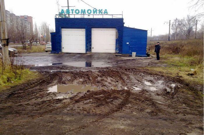 Прикольные картинки