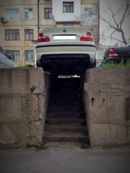Прикольные картинки (78 фото)