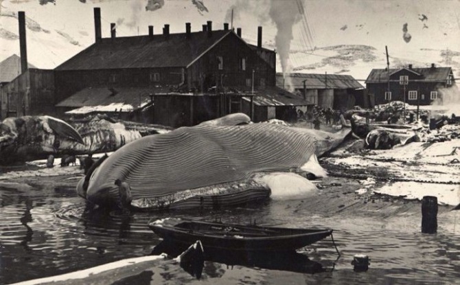30 обалденных исторических фотографий 30 обалденных исторических фотографий
