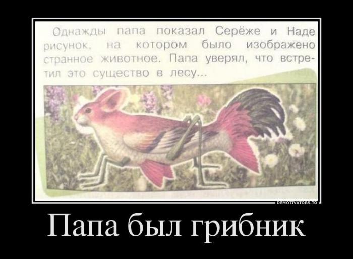 Демотиваторы