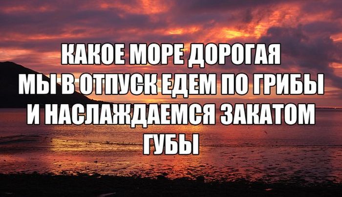 Прикольные картинки (80 фото)