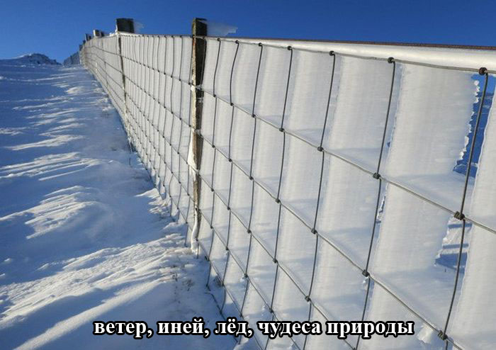 Прикольные картинки (80 фото)