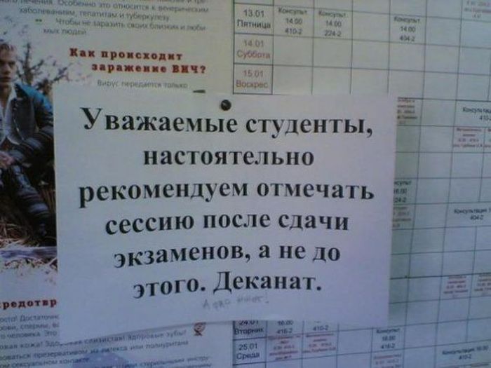 Прикольные картинки (80 фото)