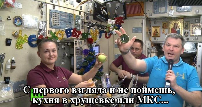 Прикольные картинки (80 фото)