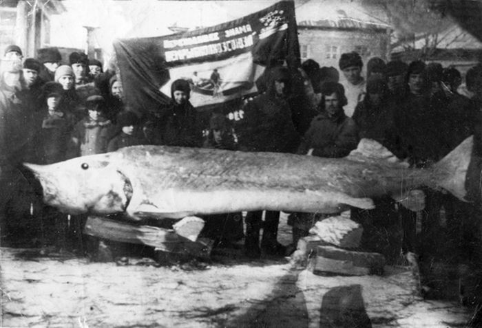 Подборка редких фотографий со всего мира Подборка редких фотографий со всего мира