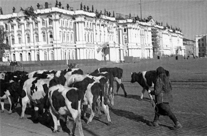 Подборка редких фотографий со всего мира Подборка редких фотографий со всего мира