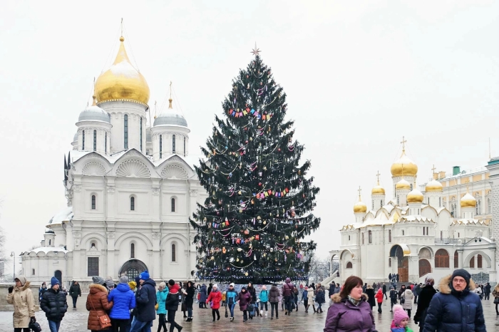 Как новогодняя елка прижилась в России Как новогодняя елка прижилась в России