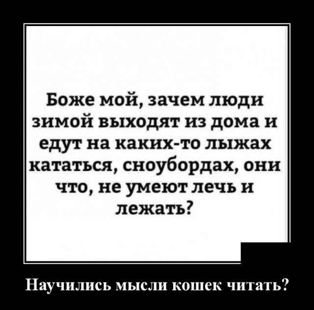 Демотиваторы